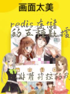 redis存储的五种数据类型