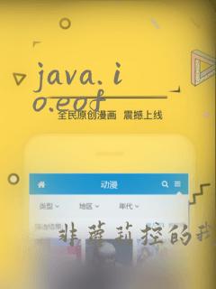 java. io.eof