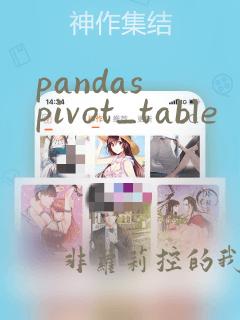 pandas pivot_table