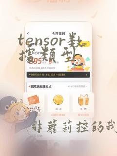 tensor数据类型