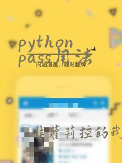python pass用法