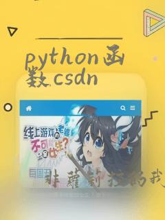 python函数csdn