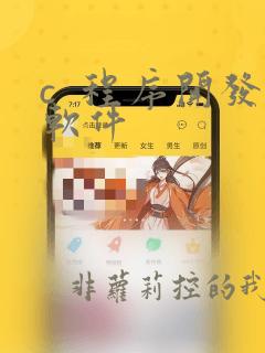 c  程序开发软件