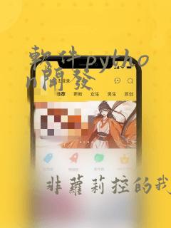 软件python开发