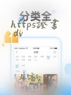https证书 dv
