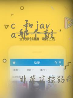 c 和java那个难