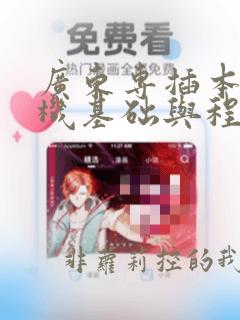 广东专插本计算机基础与程序设计