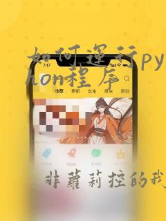 如何运行python程序