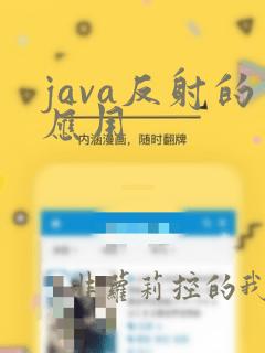 java反射的应用