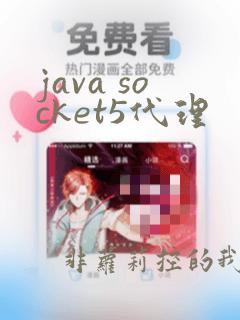java socket5代理