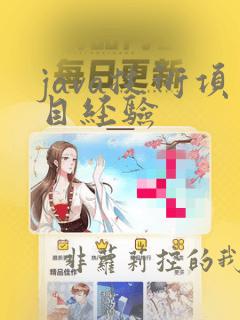 java技术项目经验