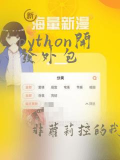 python开发外包