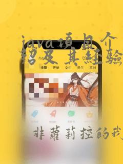 java项目介绍及其经验