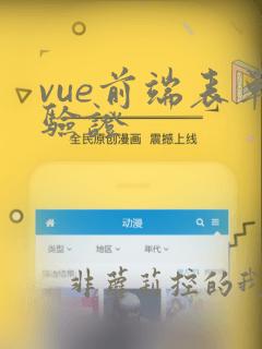 vue前端表单验证