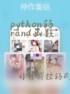 python的rand函数