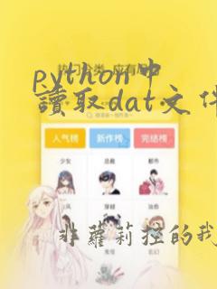 python中读取dat文件