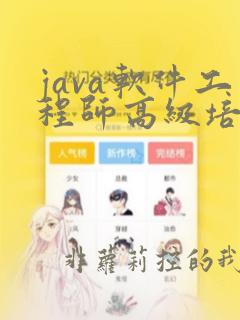 java软件工程师高级培训