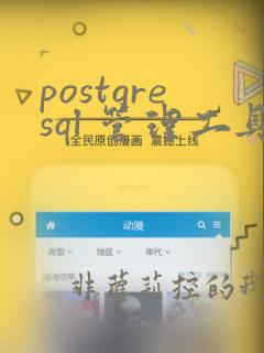postgresql 管理工具