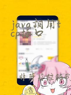java调用tcp接口