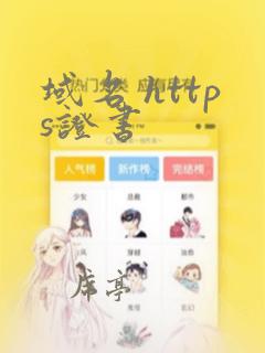 域名 https证书