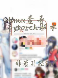 linux查看pytorch版本