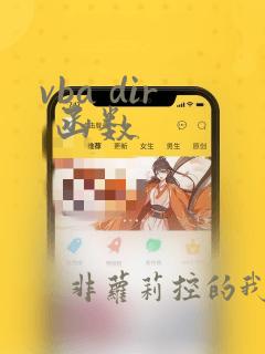 vba dir 函数