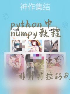 python中numpy教程