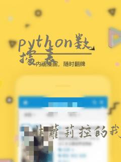 python数据表