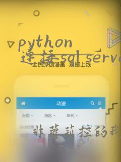python 连接sql server