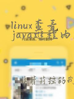 linux查看java进程内存使用情况