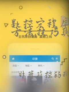 数控宏程序编程方法,技巧与实例