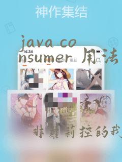 java consumer 用法