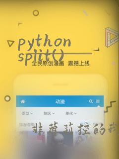 python split()