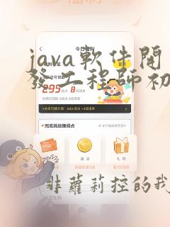 java软件开发工程师初级