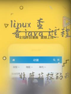 linux 查看java 进程