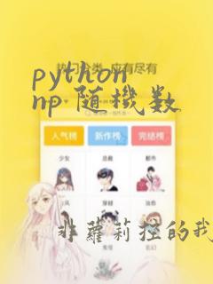 python np 随机数