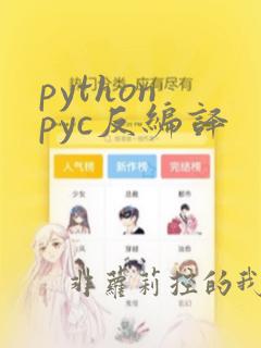 python pyc反编译