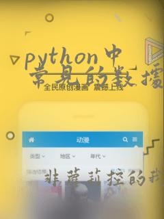 python中常见的数据结构