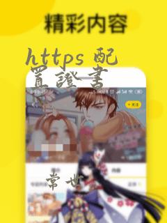 https 配置证书