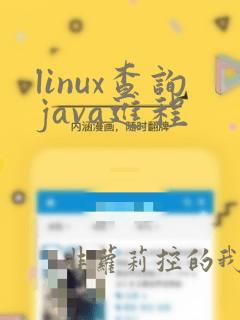 linux查询java进程