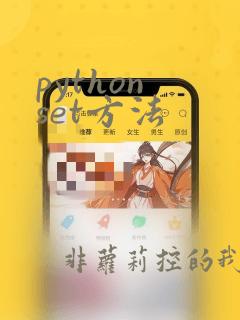 python set方法