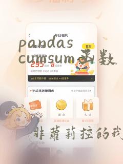 pandas cumsum函数