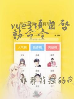 vue3项目启动命令