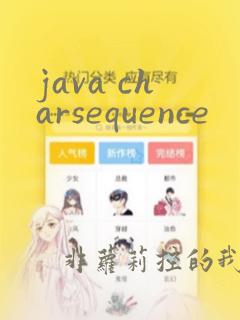 java charsequence