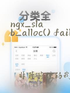 ngx_slab_alloc() failed: no memory