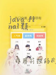 java final类