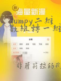 numpy二维数组转一维