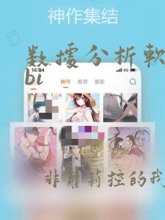 数据分析软件 bi