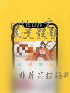 python定义实体类