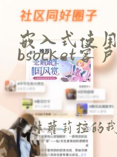 嵌入式使用websocket客户端指南
